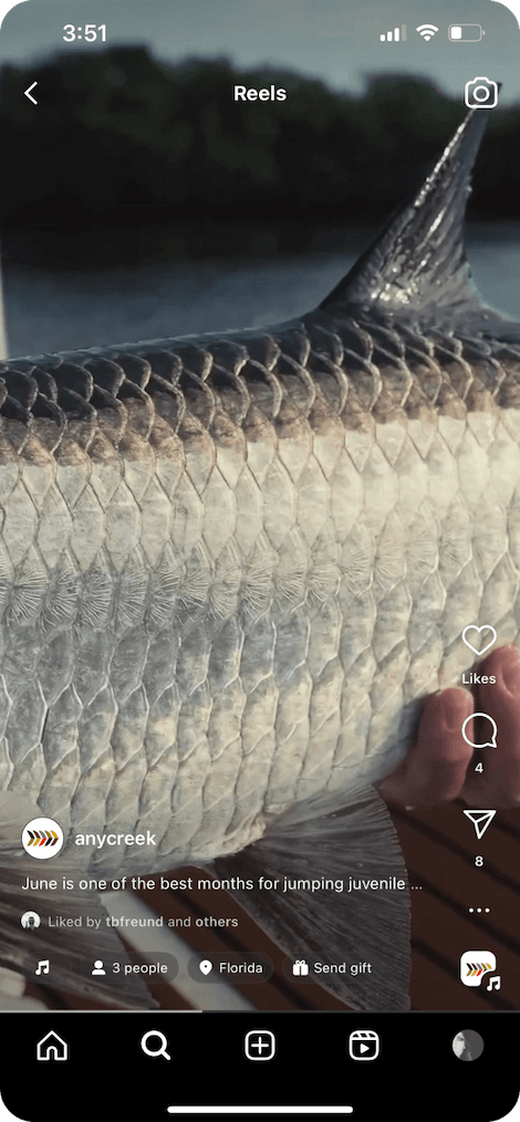 A phone screen open to an AnyCreek Instagram Reel, showing an up-close shot of a fish's scales