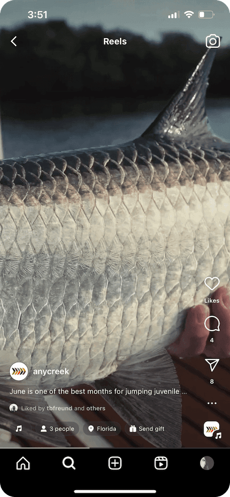 A phone screen open to an AnyCreek Instagram Reel, showing an up-close shot of a fish's scales